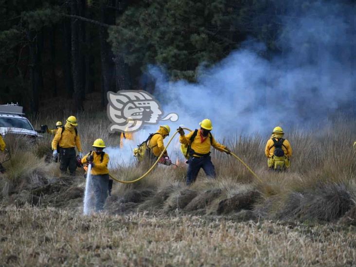 Cuidado de bosques, responsabilidad social; inicia temporada de incendios: CGJ