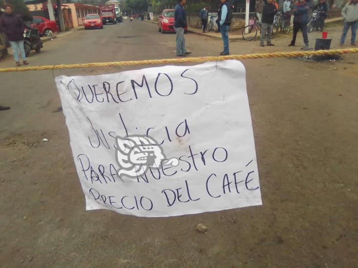 Por ‘coyotaje’, bajos precios del café en Ixhuatlán