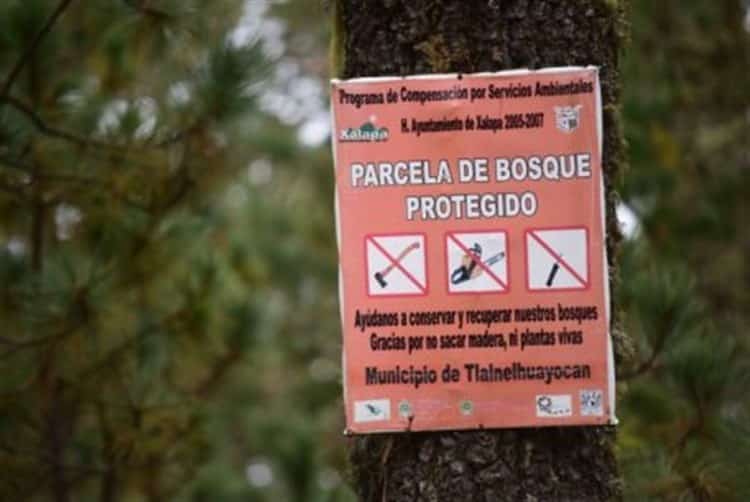 Ejidatarios de Perote: guardianes del bosque que surte de agua a Xalapa