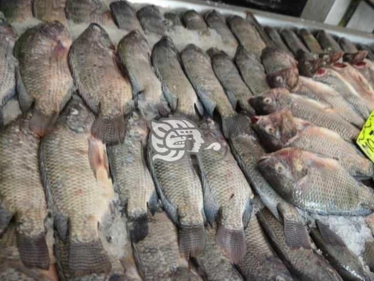 Enero, peor mes del año para sector pesquero