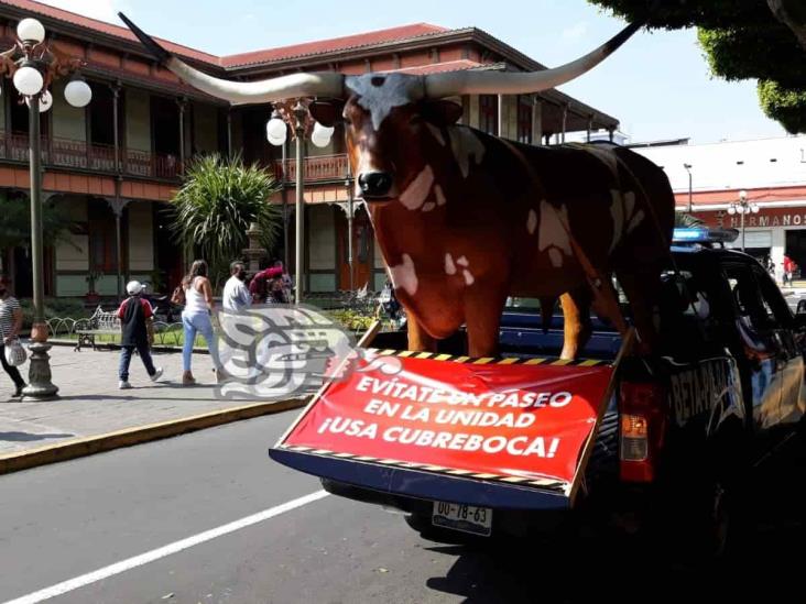 Imagen de buey en Orizaba causa indignación en ciudadanos; Diez da explicación