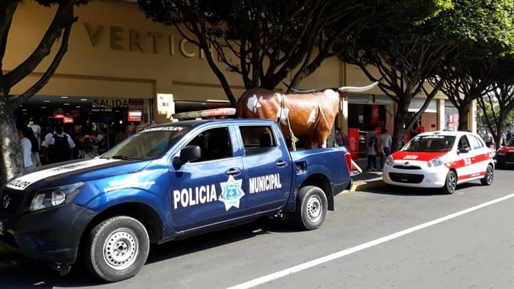 Imagen de buey en Orizaba causa indignación en ciudadanos; Diez da explicación