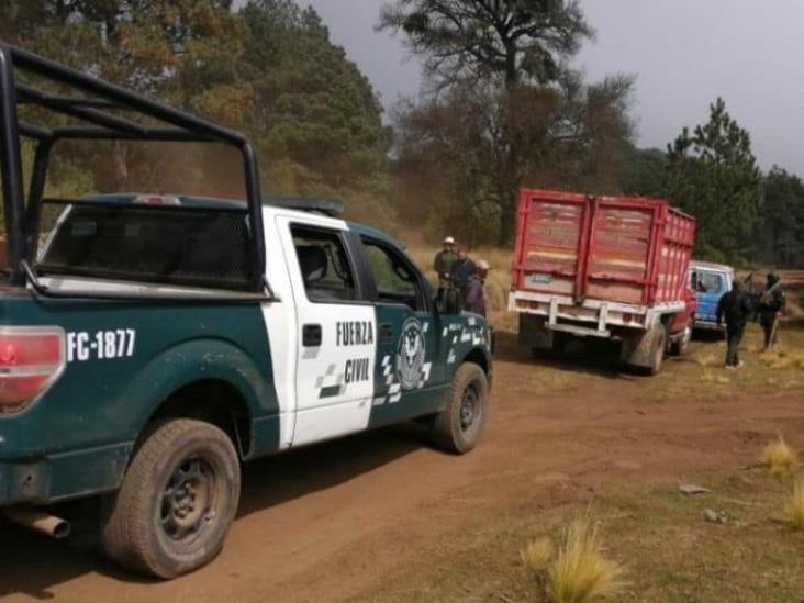 Detiene SSP a cuatro por tala clandestina en el Cofre de Perote