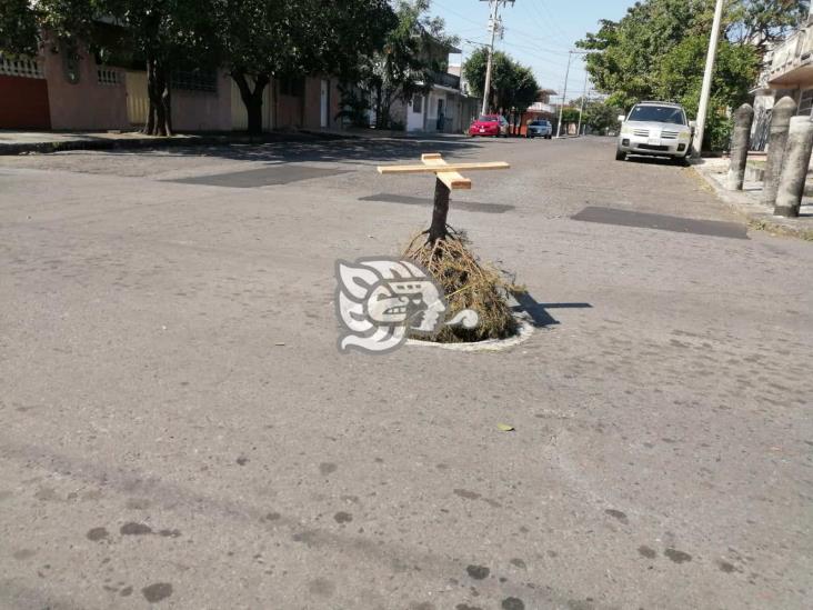 Abandonan arbolitos navideños en calles del puerto