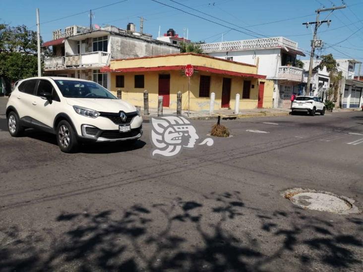 Abandonan arbolitos navideños en calles del puerto