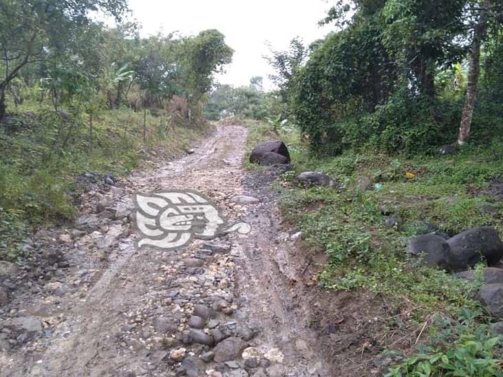 En colonia Mateo Acosta de Misantla, ‘se roban hasta las gallinas’, reclaman colonos