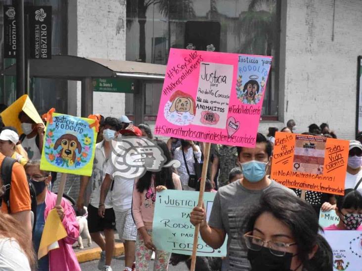 Ante virtual cierre de Huellitas Orizaba, animalistas realizarán marcha pacífica