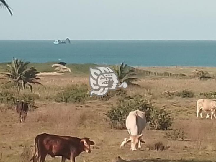 Piden a Sedema intervenir contra descargas en costas de Coatzacoalcos