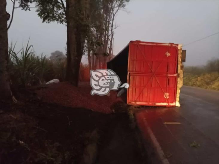 Vuelca camión cargado con alimento para pollo en carretera Fortín-Huatusco