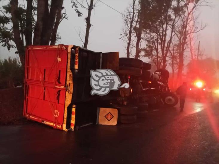 Vuelca camión cargado con alimento para pollo en carretera Fortín-Huatusco