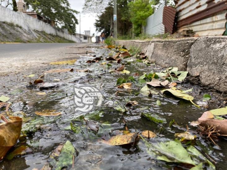 Fuga de aguas negras, foco de infección en colonia Santa Clara