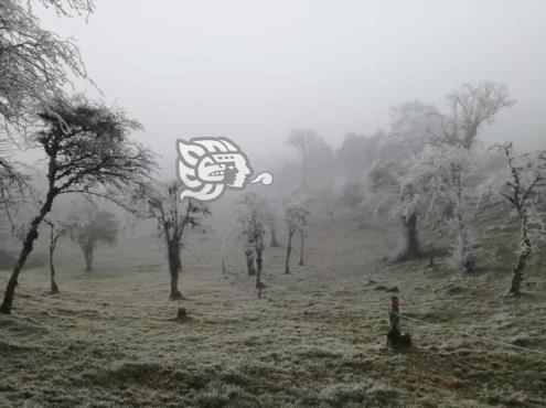 Frente frío 23 dejó heladas en Cofre de Perote y Pico de Orizaba