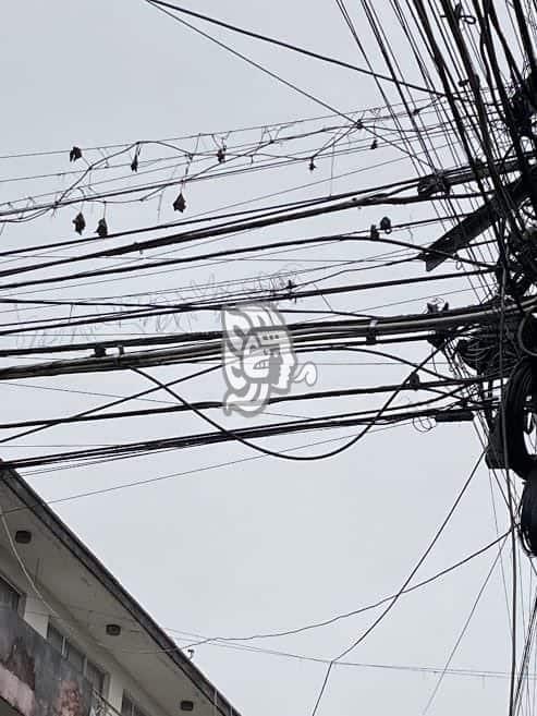 Un riesgo, ‘telaraña’ de cables y postes dañados en calles de Xalapa