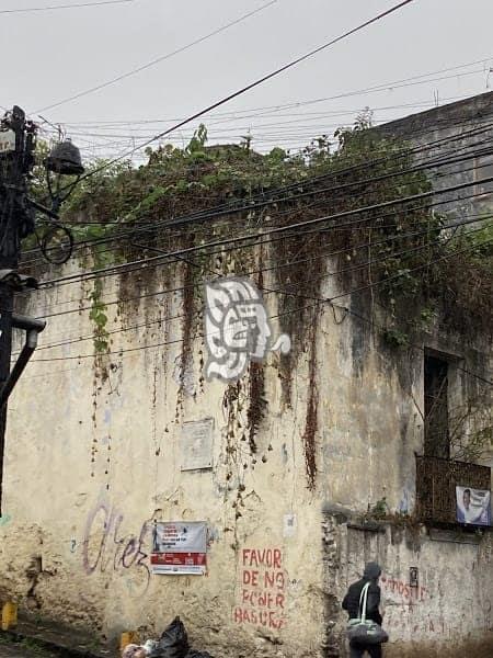 Un riesgo, ‘telaraña’ de cables y postes dañados en calles de Xalapa