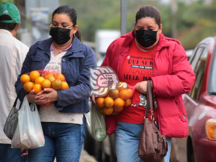 Aumento en la venta de cítricos en mercados de Coatzacoalcos