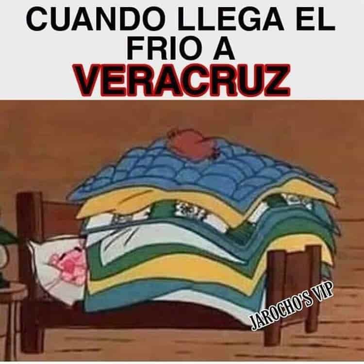 Los mejores memes que dejaron las bajas temperaturas en Veracruz