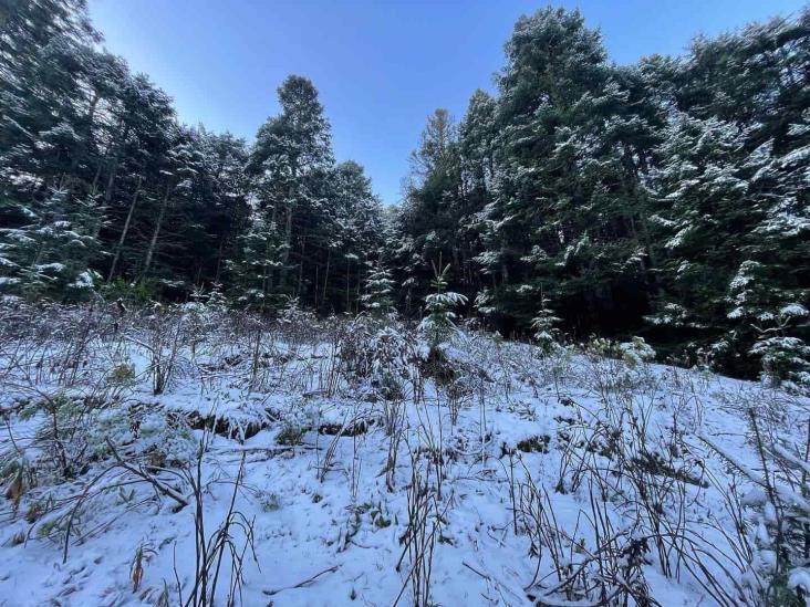 No paran las nevadas en el Cofre de Perote; registra ya la sexta