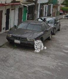 Autos maceta invaden Xalapa, la ciudad de las flores