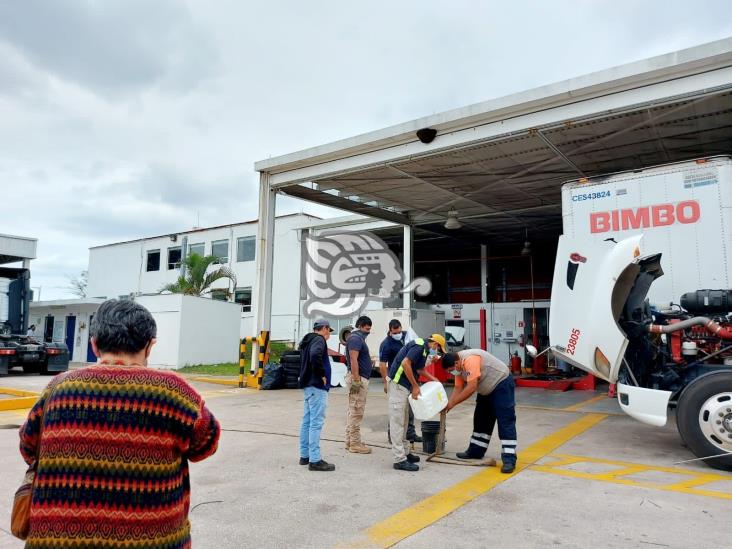 PC retira enjambre de abejas de empresa en Acayucan