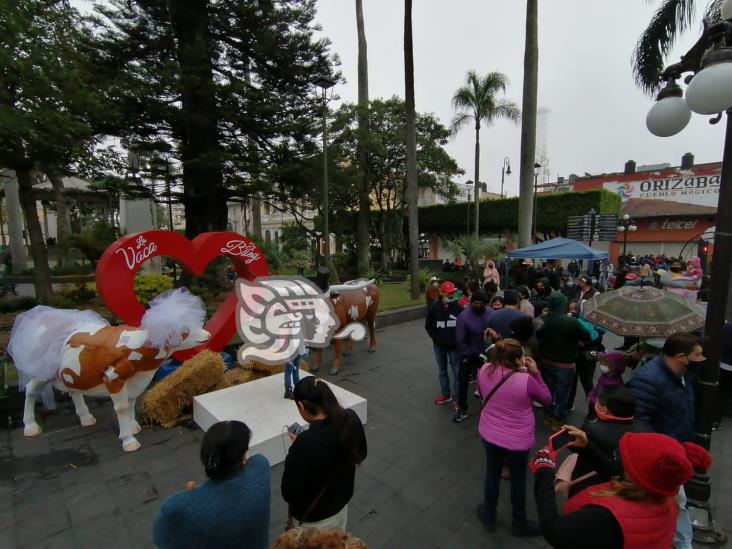 En Orizaba, celebran ‘boda’ de la vaca y el buey; usuarios critican el acto en redes