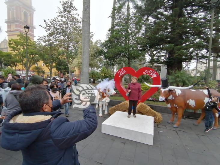 En Orizaba, celebran ‘boda’ de la vaca y el buey; usuarios critican el acto en redes