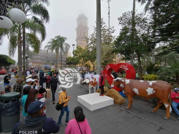 En Orizaba, celebran ‘boda’ de la vaca y el buey; usuarios critican el acto en redes