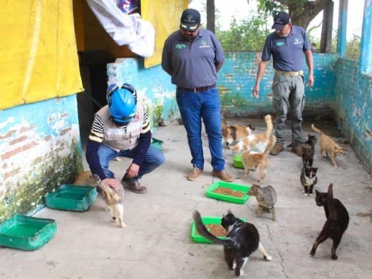 Ayudan a evitar plagas en albergues de perros y gatos