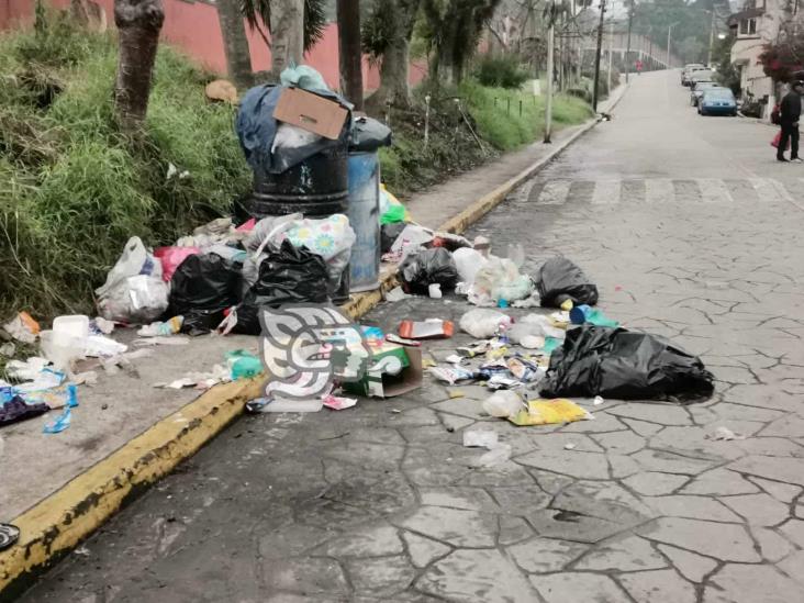 Coatepec, sin servicio de recolección de basura; las calles están llenas de desechos