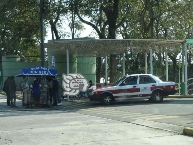 Vuelta a clases en Tecnológico de Misantla repunta economía del gremio taxista