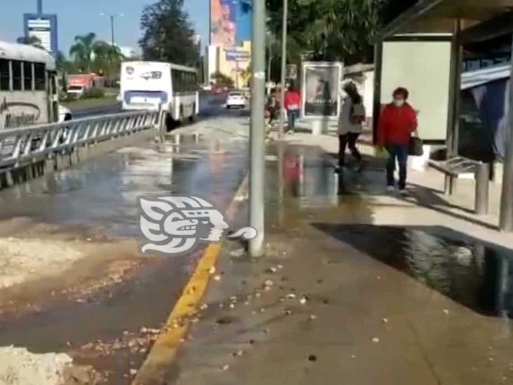 Reportan enorme fuga de agua frente a la SEV, en Xalapa