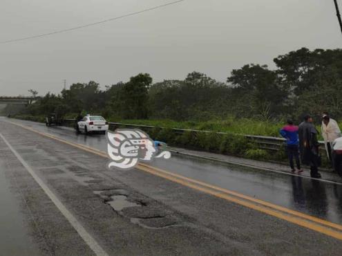 Muere atropellado en la autopista Las Choapas- Ocozocoautla