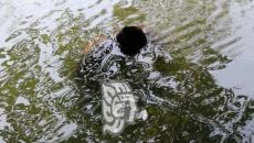 Pescador encuentra cadáver a orillas del Río Bobos