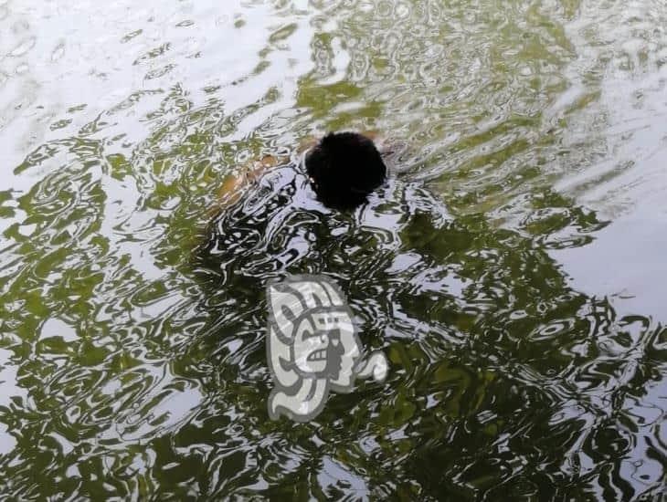 Pescador encuentra cadáver a orillas del Río Bobos