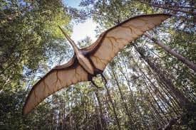 Hallaron los restos del pterosaurio jurásico más grande del mundo