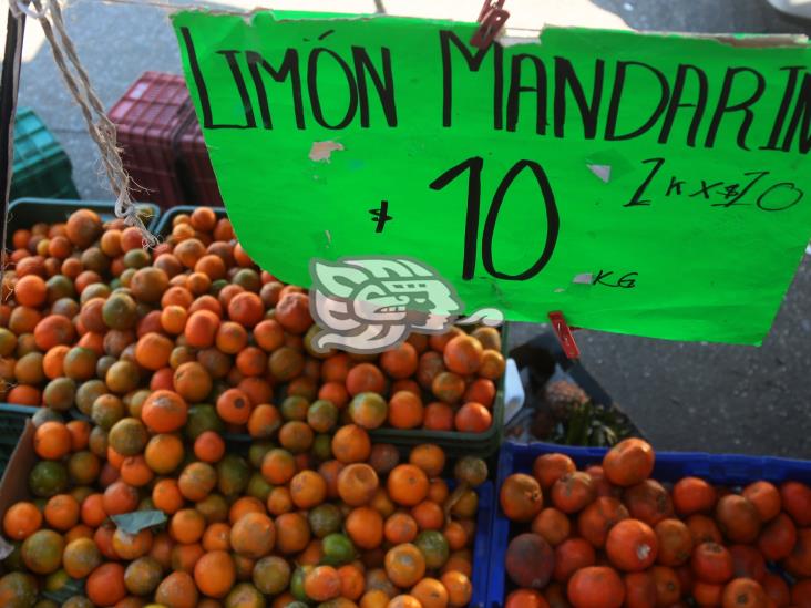 Limón mandarina, alternativa ante alto precio del Colima y Persa 