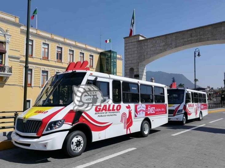 Alcalde de Orizaba no descarta que autobuses Gallo sean gratuitos (+Video)