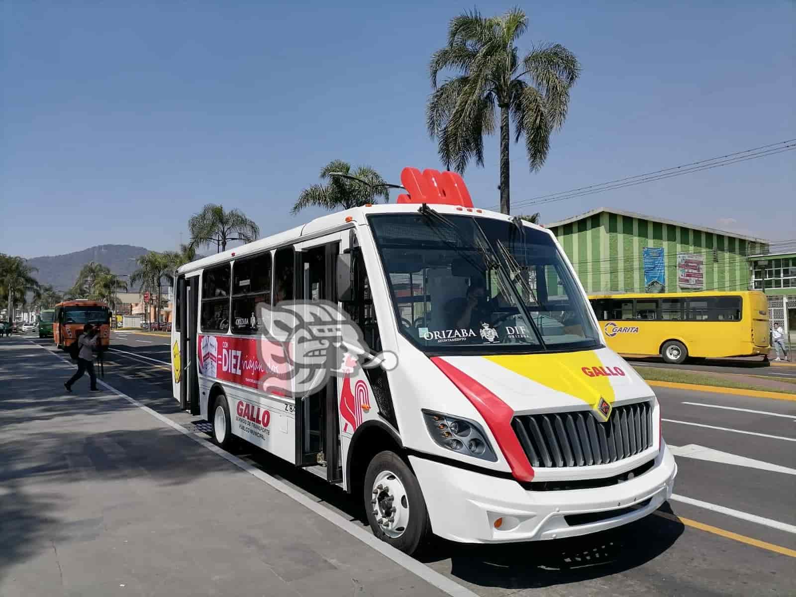 También en diciembre; autobuses Gallo darán servicio en Orizaba