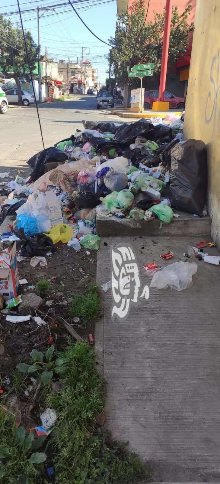 ‘Envenenan’ con basura colonia Lomas de San Roque, en Xalapa