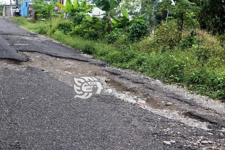 Calle Hidalgo de Misantla se encuentra llena de baches; conductores urgen reparación