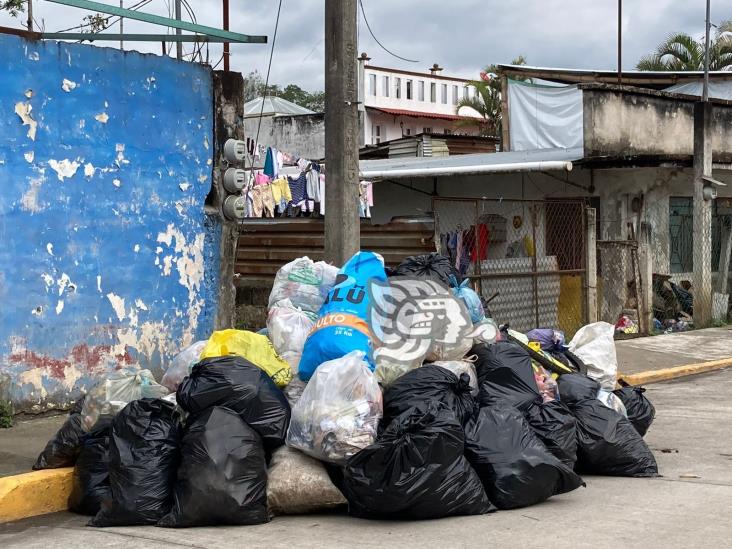 Hasta en fraccionamientos residenciales se acumulan montañas de basura en Coatepec