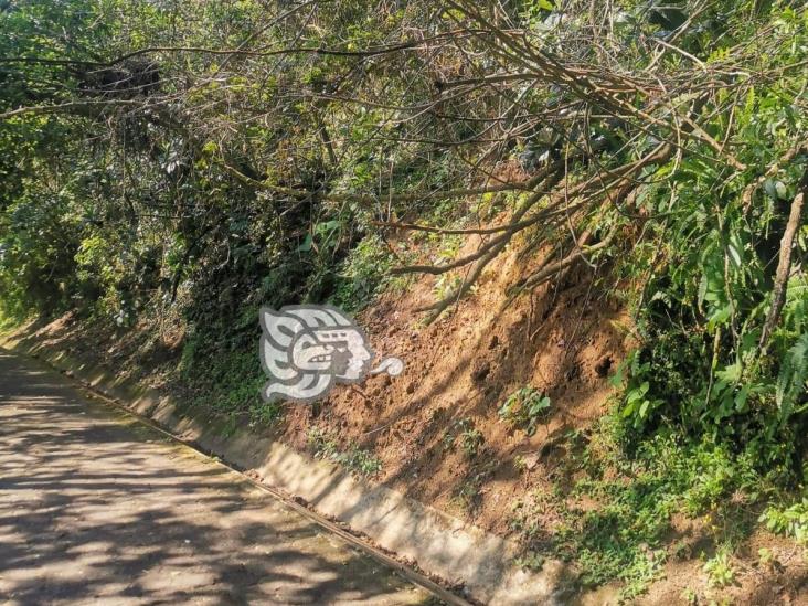 Xalapeños piden rescate del Cerro de Macuiltépetl