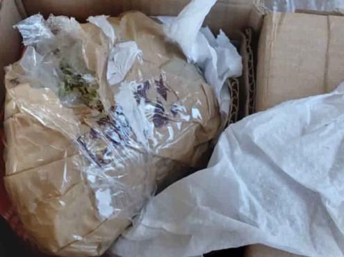 Confisca SSP paquete con marihuana en camioneta de empresa de mensajería