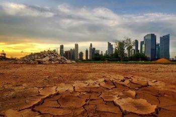 Confirman daño irreversible