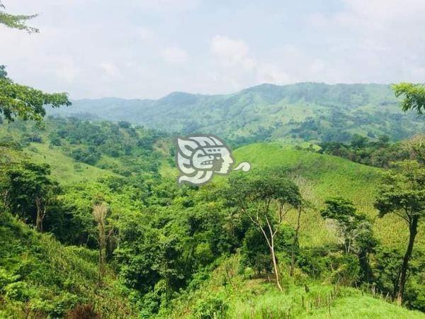 Compañía daña zona arqueológica en Las Choapas, denuncian