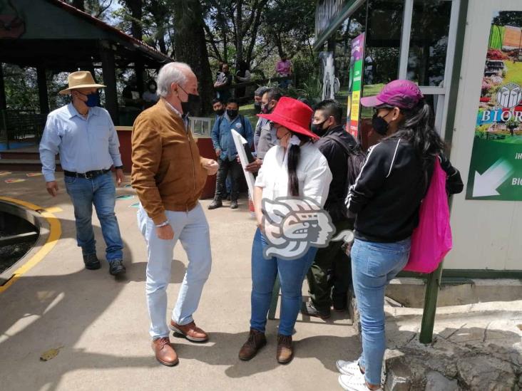 En Orizaba, Cerro del Borrego presenta un nuevo rostro