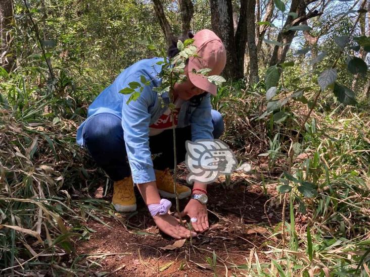 Siembran en Xalapa árboles en memoria de víctimas de feminicidio