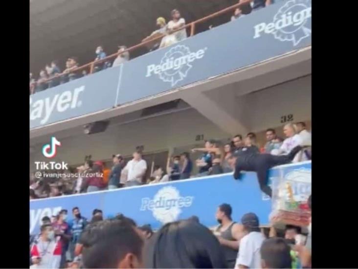 Director de Gallos de Querétaro saltó de su palco para calmar riña en el estadio