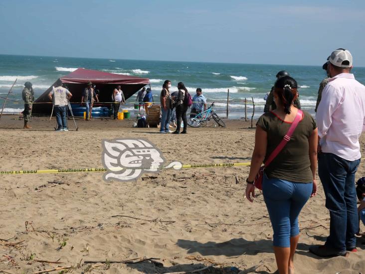 Consterna mortandad de especies marinas en playas de Coatzacoalcos