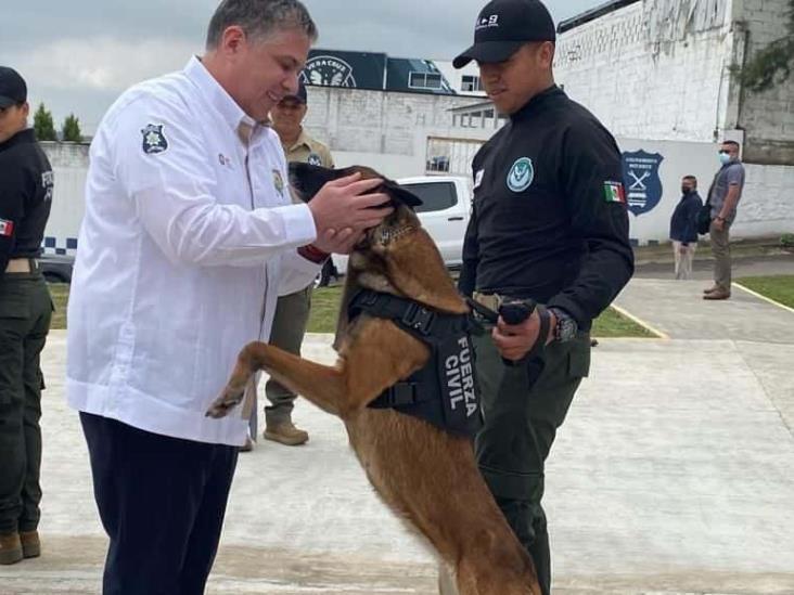 Anuncia Gutiérrez Maldonado segundo diplomado de Perros Multipropósito en Veracruz