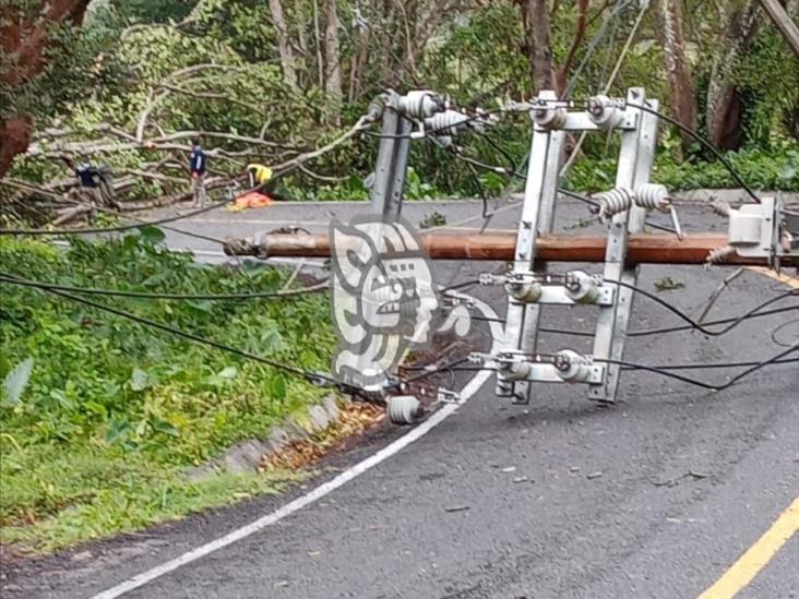 Vientos del norte derriban árbol y poste de luz en Catemaco